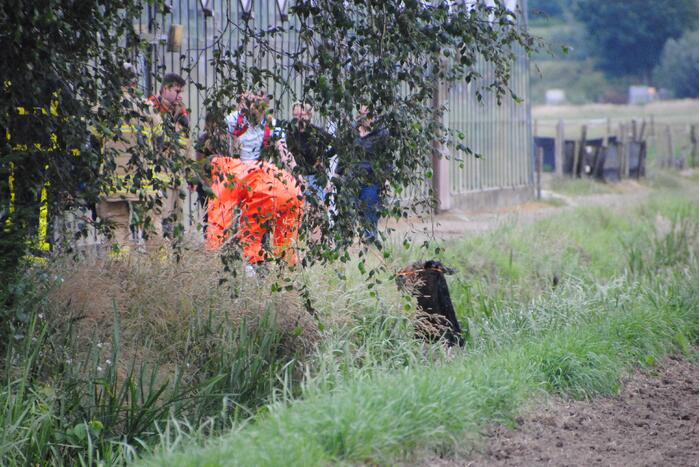Brandweer haalt paard uit de sloot