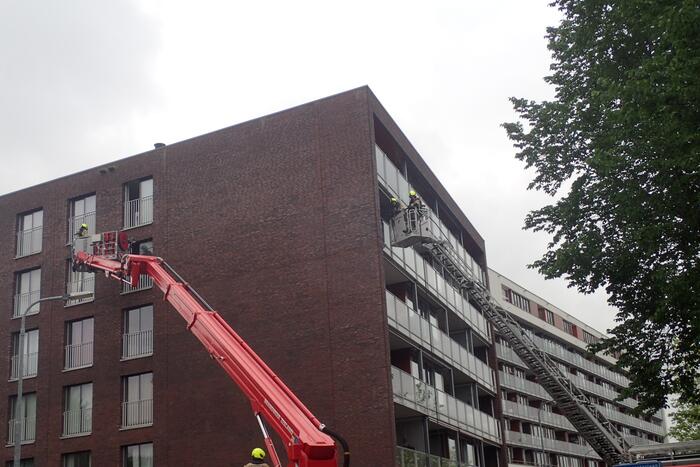 Brand in flatwoning