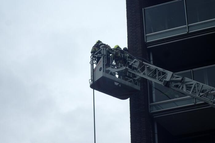 Brand in flatwoning