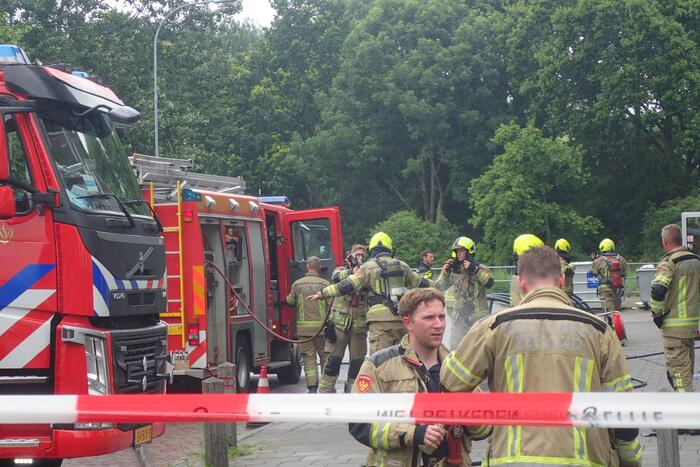 Brand in flatwoning