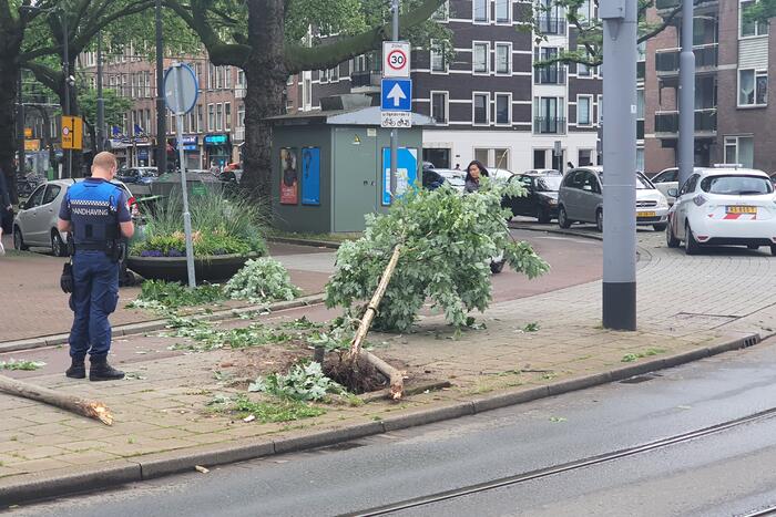 Auto rijdt door na ongeval tegen boom