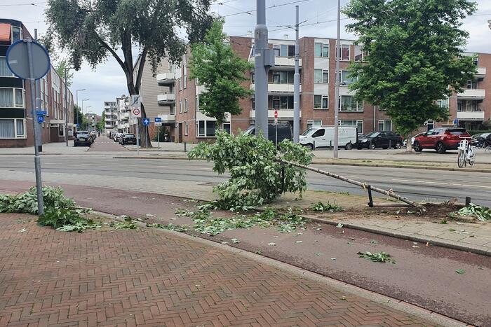 Auto rijdt door na ongeval tegen boom