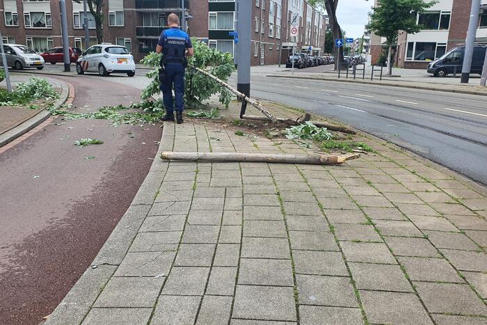 Auto rijdt door na ongeval tegen boom