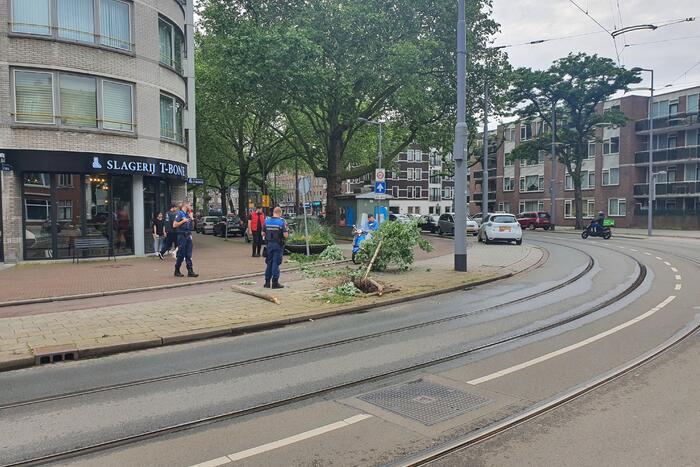 Auto rijdt door na ongeval tegen boom