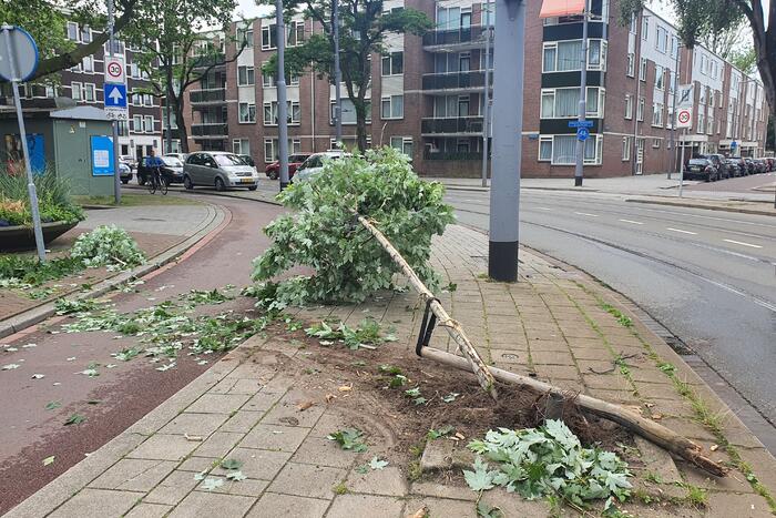 Auto rijdt door na ongeval tegen boom