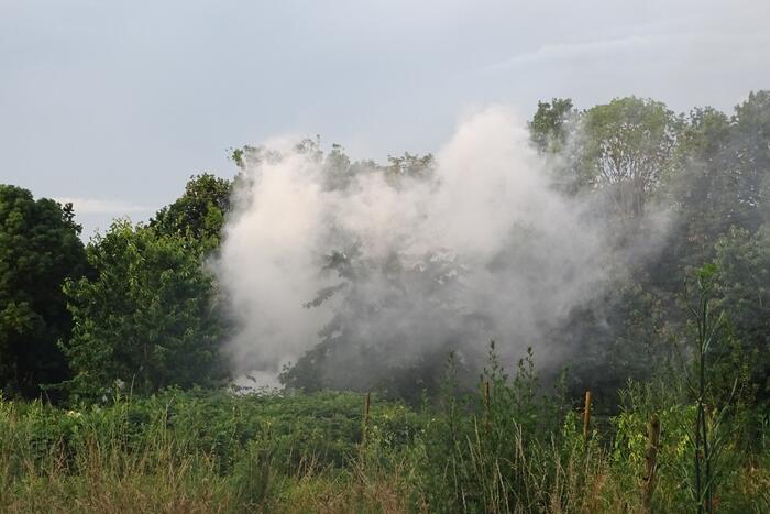 Laan naar Eme Nieuws Zutphen 