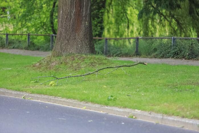 Loshangende tak door brandweer verwijderd