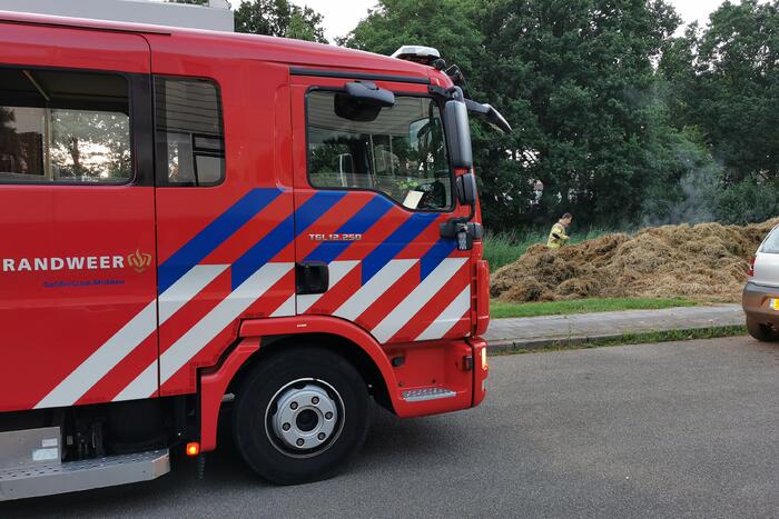 Broei in gemaaid gras