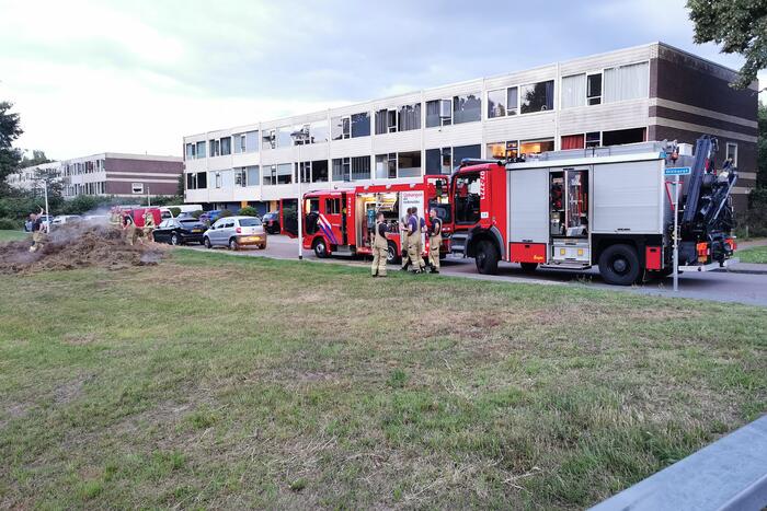 Broei in gemaaid gras