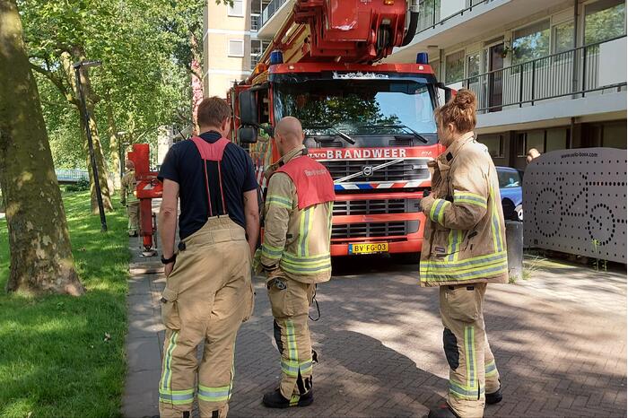 Vogel twee dagen vast in boom