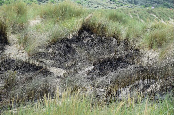 Brand in duinen van strand