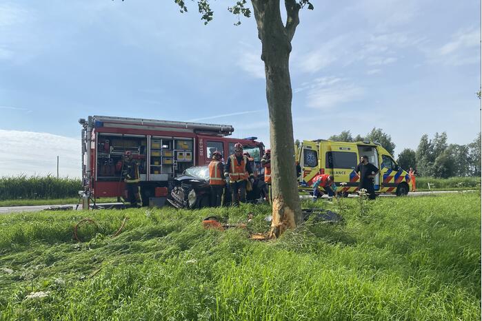 Auto raakt van de weg en botst frontaal op boom