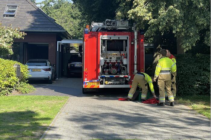 Pony uit zwembad gered