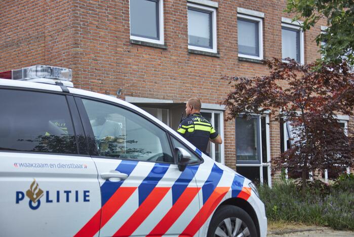 Hennepkwekerij met 50 planten aangetroffen in Kattenbroek