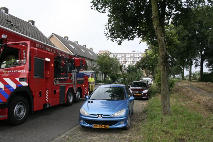 Tak valt vanuit boom op personenauto
