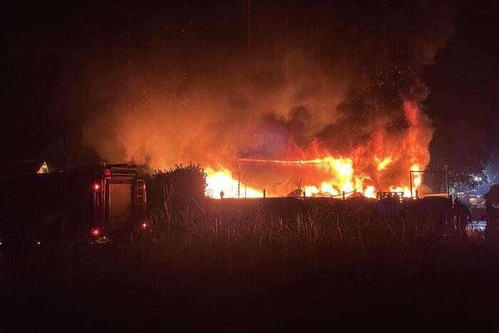 Kalven gered bij grote brand