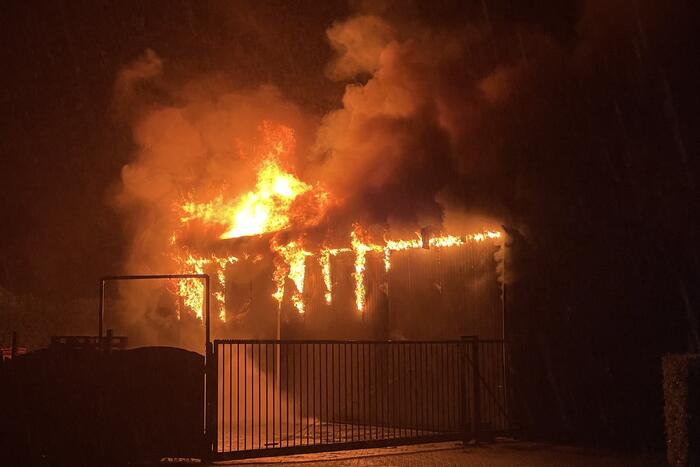 Kalven gered bij grote brand