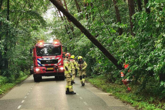 Brandweer haalt gevaarlijk hangende boom neer