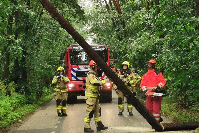 Brandweer haalt gevaarlijk hangende boom neer