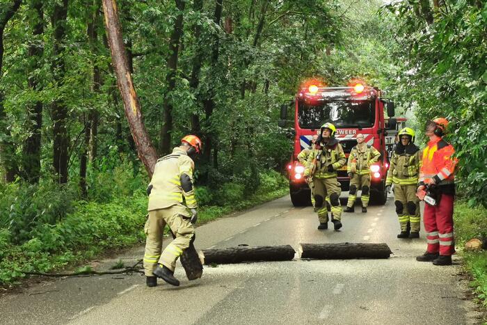 Brandweer haalt gevaarlijk hangende boom neer