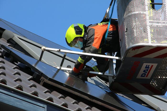 Jonge meeuw vast onder zonnepaneel