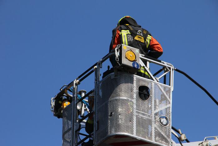 Jonge meeuw vast onder zonnepaneel