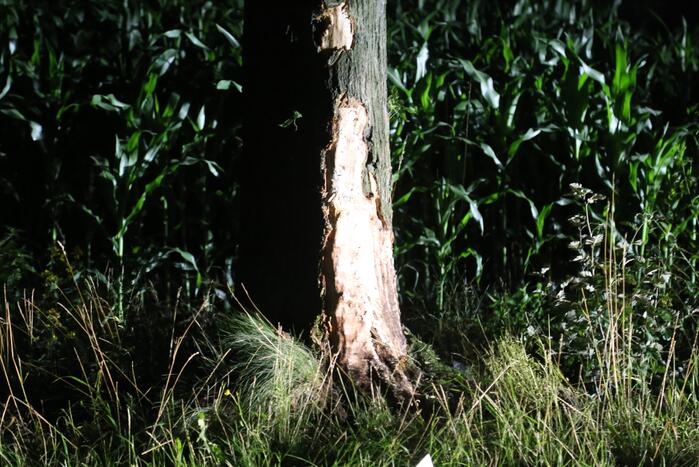 Meerdere gewonden bij botsing tegen boom