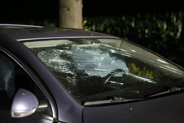 Meerdere gewonden bij botsing tegen boom