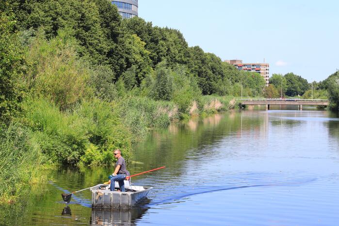 Waterschap haalt emmers met dode vissen uit Valleikanaal