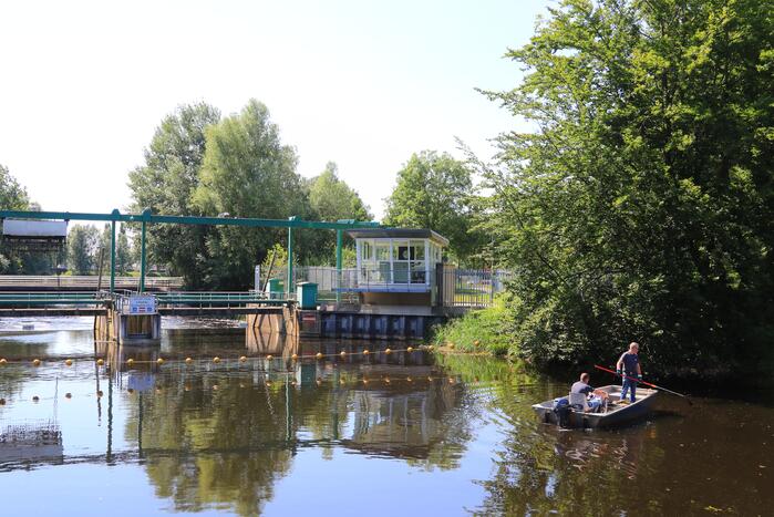 Waterschap haalt emmers met dode vissen uit Valleikanaal