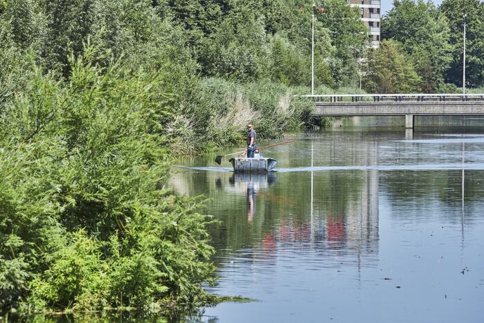 Waterschap haalt emmers met dode vissen uit Valleikanaal