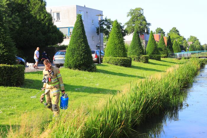 Barbecue met gasfles vat vlam