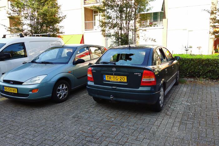 Persoon aangehouden door vernieling