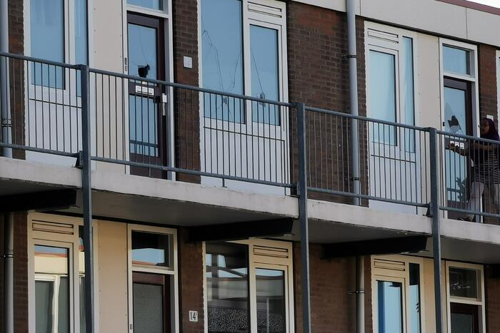 Persoon aangehouden door vernieling