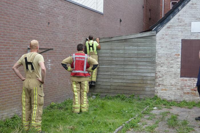 Kitten kiest het hazenpad bij reddingspoging