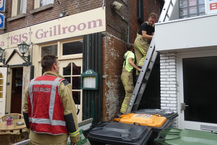 Kitten kiest het hazenpad bij reddingspoging