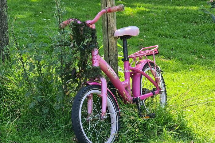 Duikers ingezet na achtergelaten kinderfiets langs waterkant