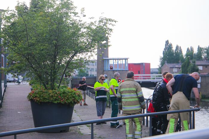 Baby meeuw komt in problemen