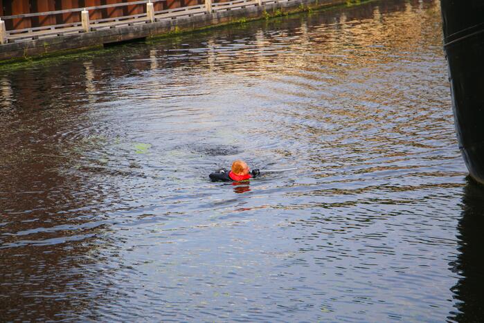 Baby meeuw komt in problemen