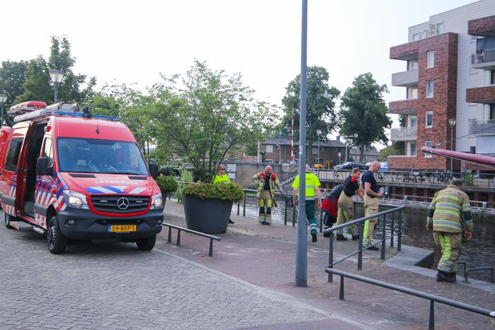 Baby meeuw komt in problemen