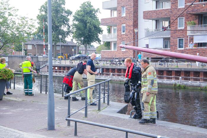 Baby meeuw komt in problemen