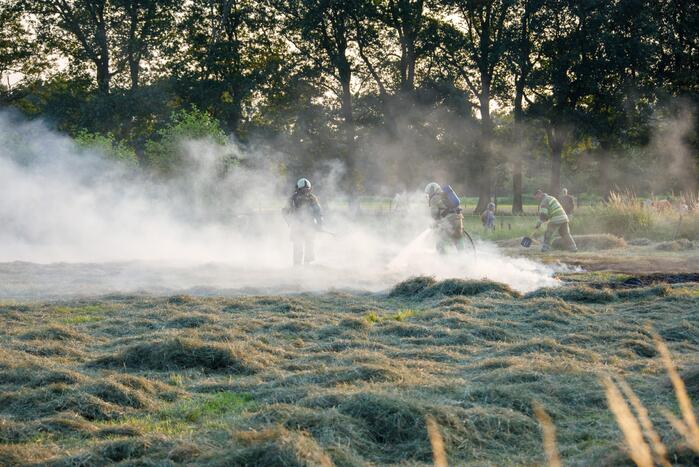 Enorme rookwolken door brand in gemaaid gras