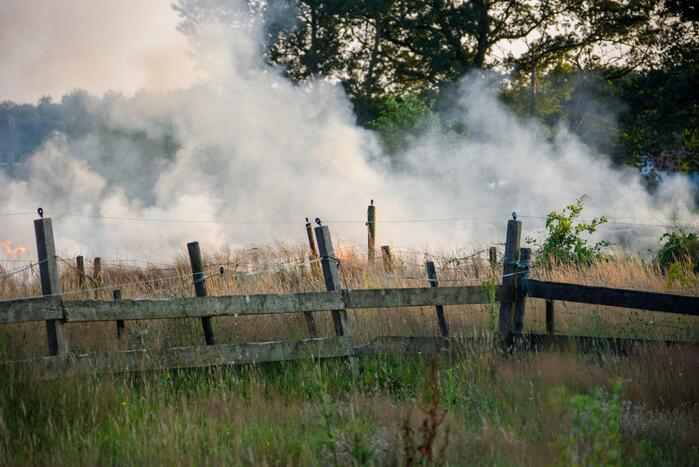 Enorme rookwolken door brand in gemaaid gras