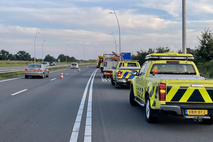 Auto komt tot stilstand in struikgewas