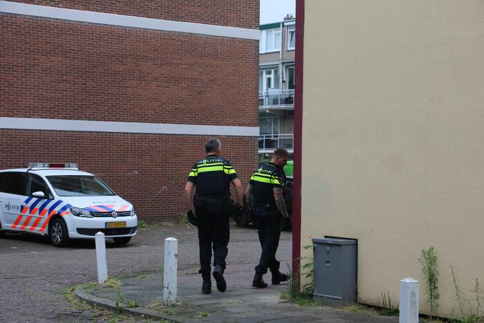 Steekincident in flatwoning