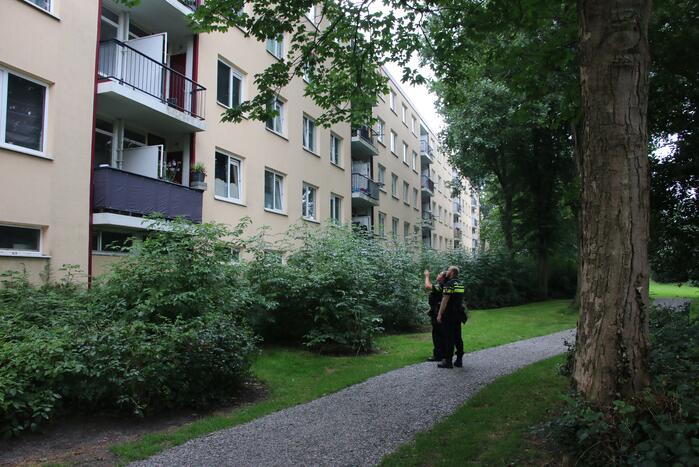 Steekincident in flatwoning