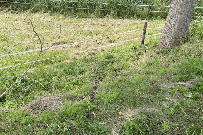 Man glijdt met brommobiel van talud af