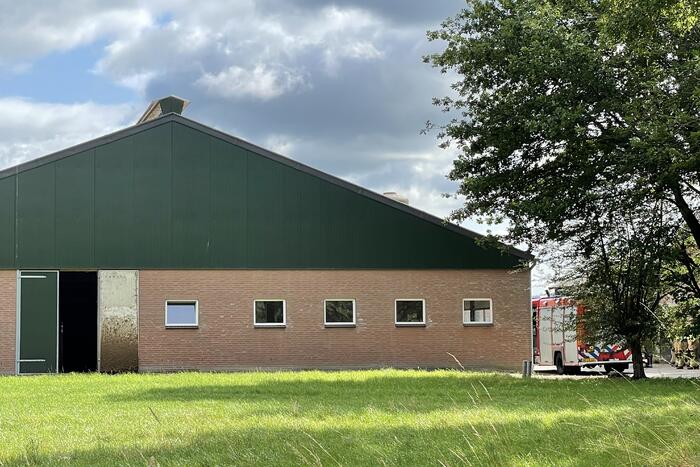 Brandweer bevrijdt vastzittende koe