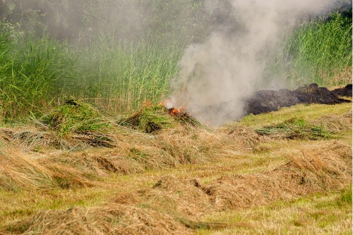 Brand in gemaaid gras