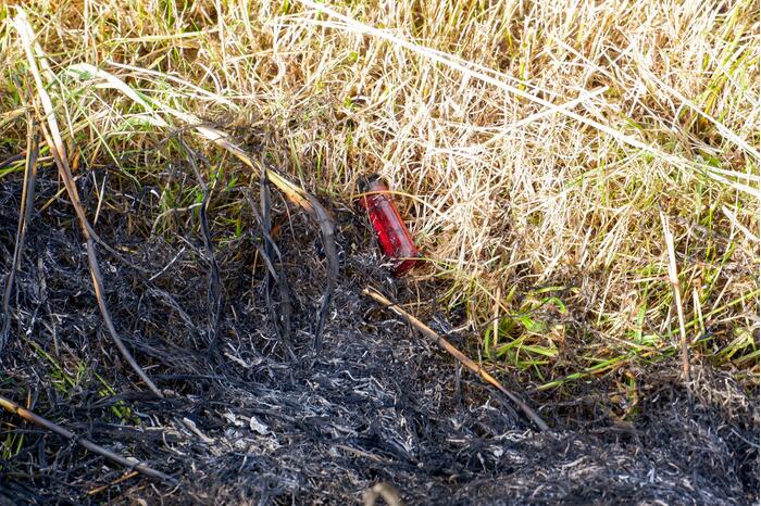 Brand in gemaaid gras